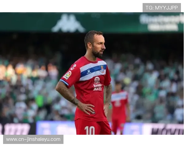 皇家贝蒂斯最新战报与转会动态解析引球迷关注焦点